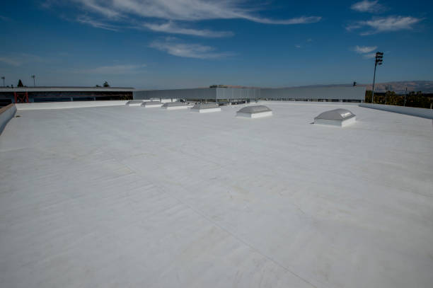 Best Gutter Installation and Repair  in Paloma Creek, TX