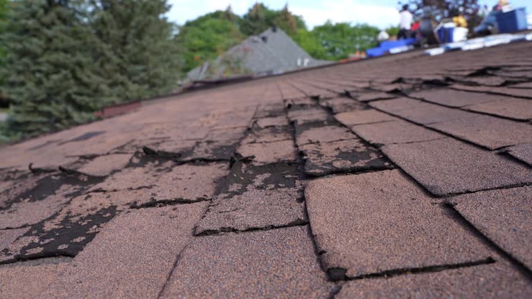 Best Chimney Flashing Repair  in Paloma Creek, TX