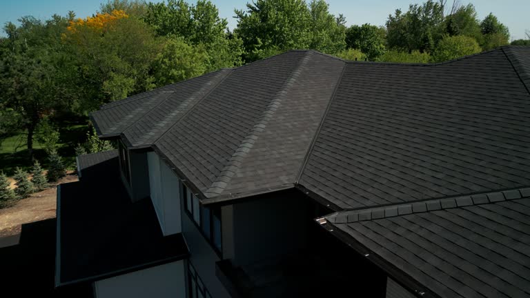 Best Roof Ventilation Installation  in Paloma Creek, TX