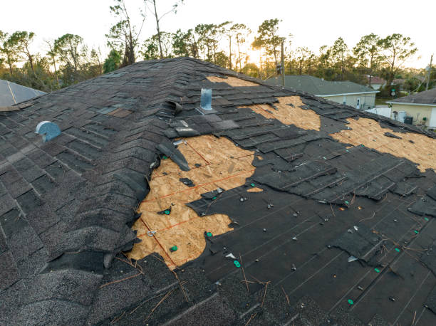 Best Roof Coating and Sealing  in Paloma Creek, TX