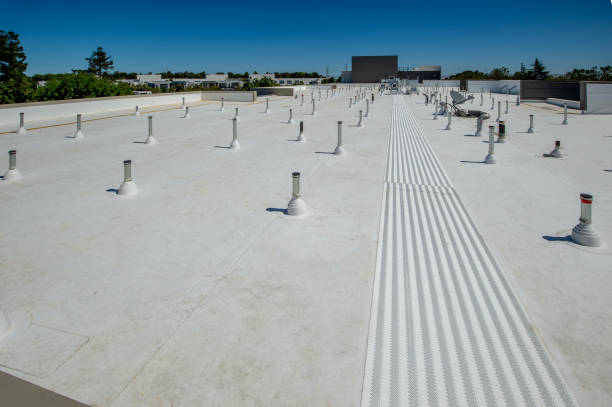 Best Storm Damage Roof Repair  in Paloma Creek, TX